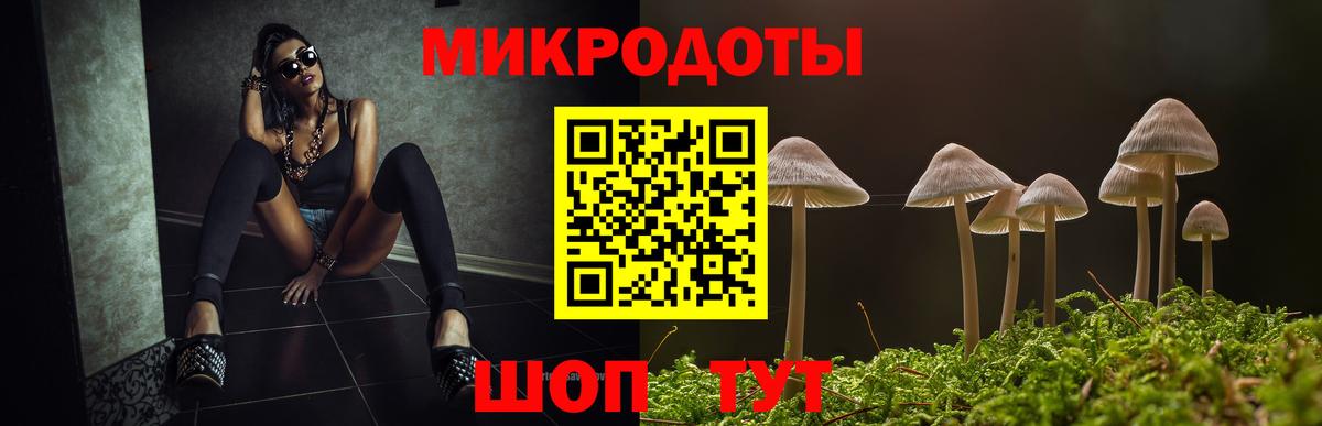 Петрозаводск  Галлюциногенные грибы мицелий  где купить   Вход с VPN 